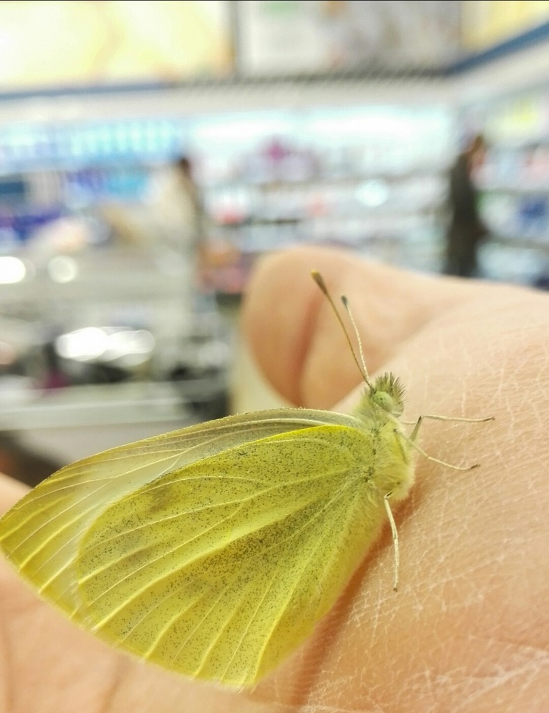 de-compras-en-el-super