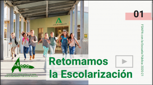 escolarizacion1